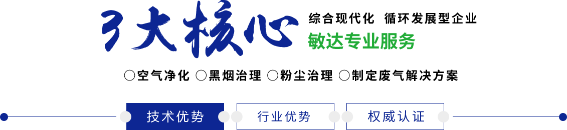 大大的肉棒骚逼大屌91敏达环保科技（嘉兴）有限公司